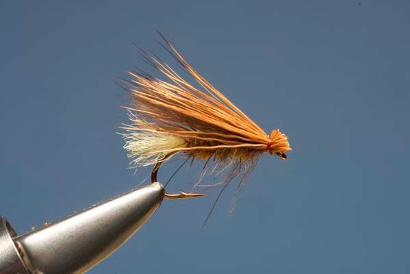 Elk Hair Sedge