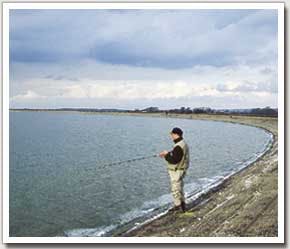 Reservoir Trout feeding patterns