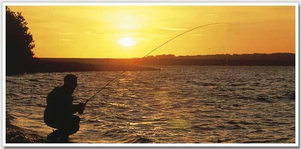 Reservoir Trout feeding patterns