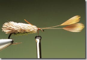 g&h Sedge river fly