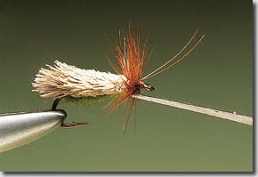 g&h Sedge river fly