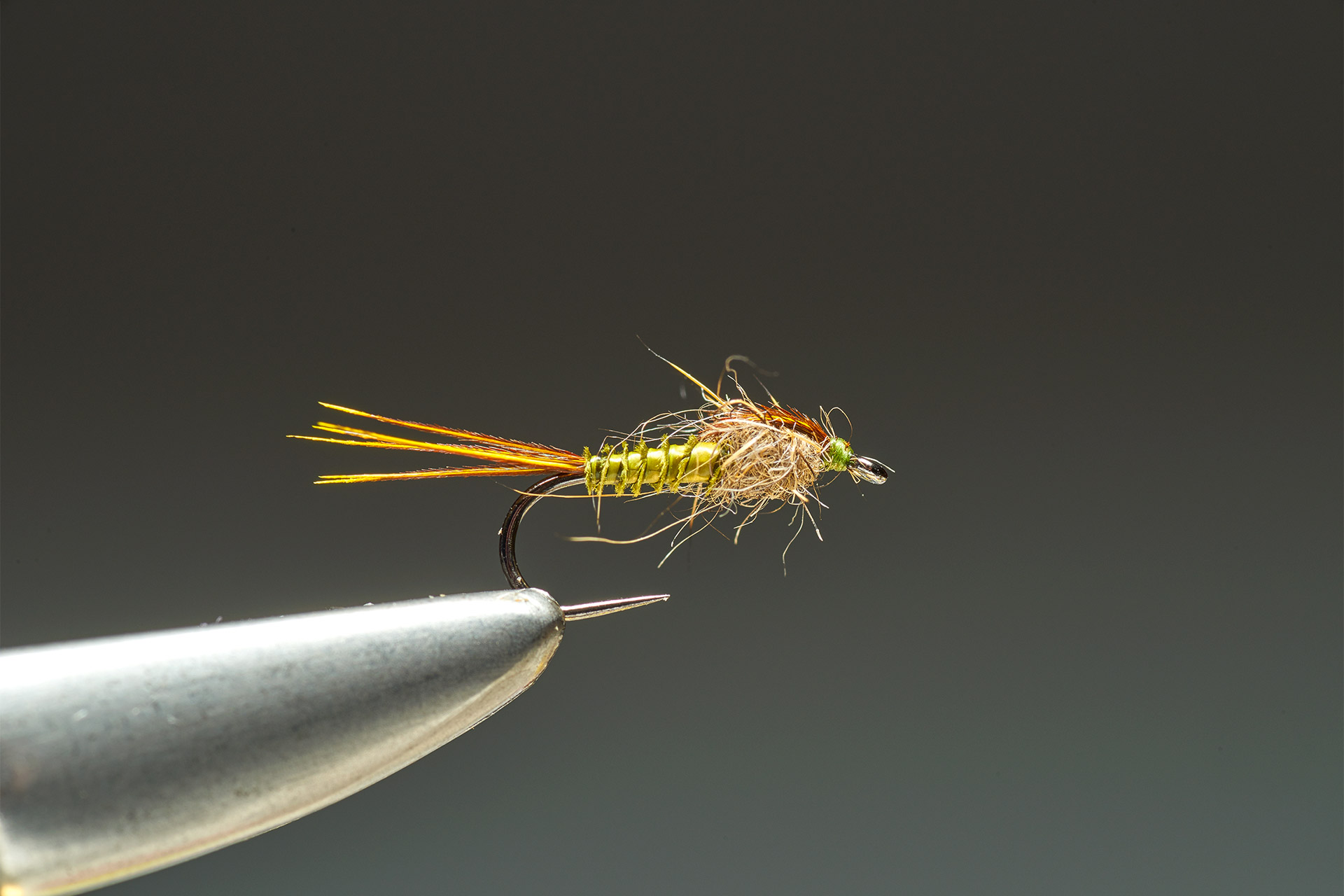 Olive Biot Nymph step 10