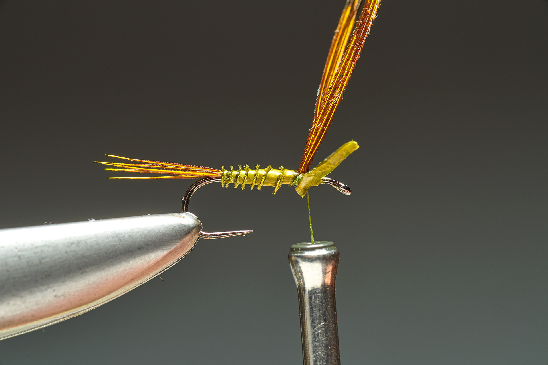 Olive Biot Nymph step 6