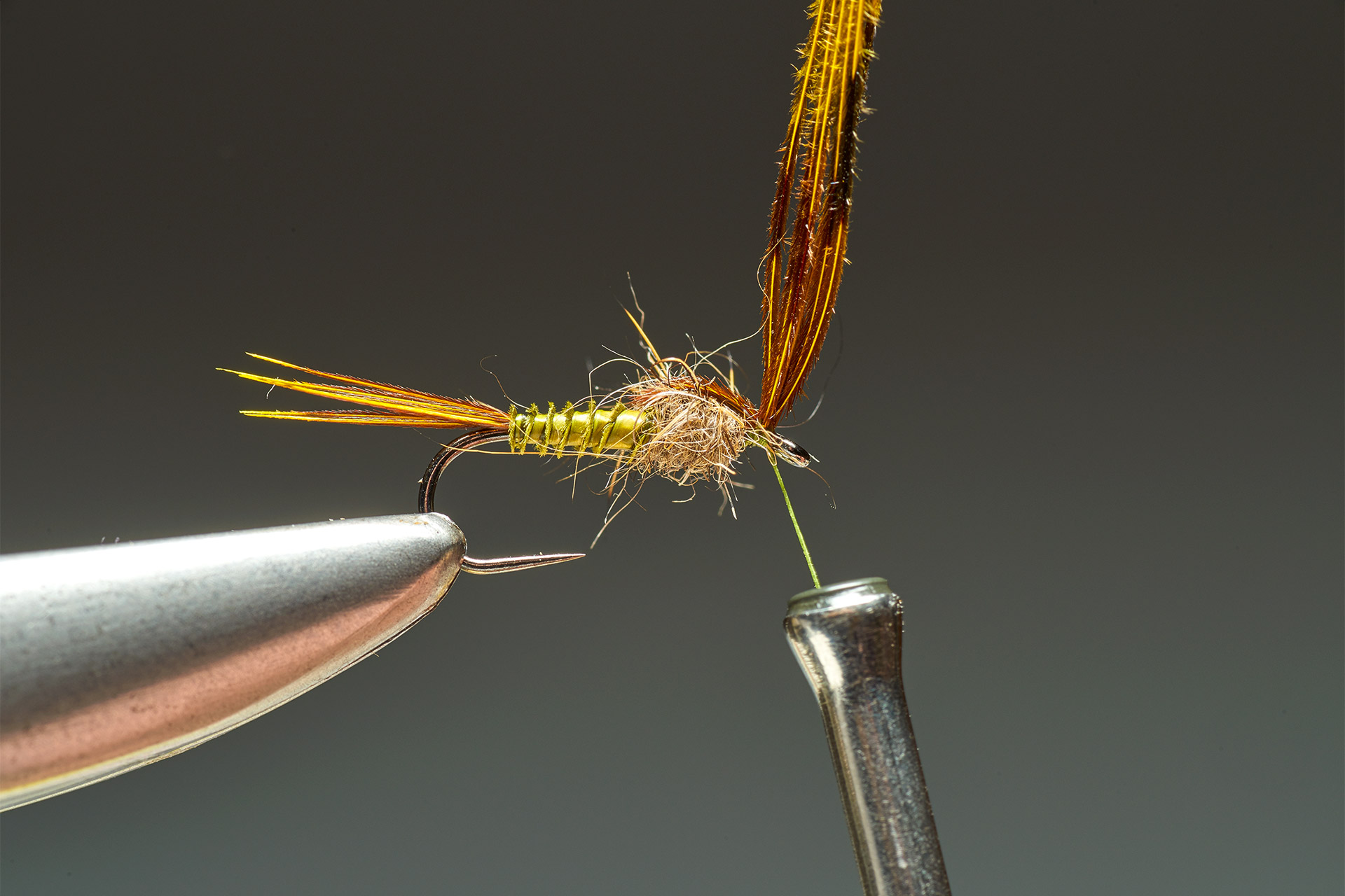 Olive Biot Nymph step 9