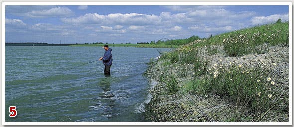 Grafham Water