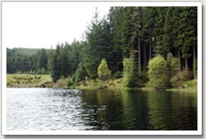 Kielder Water