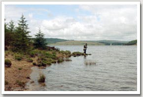 Kielder Water