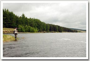 Kielder Water