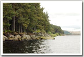 Kielder Water