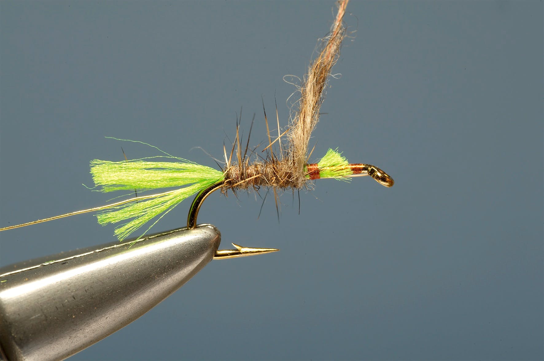 Lime-tailed-hares-ear step 5