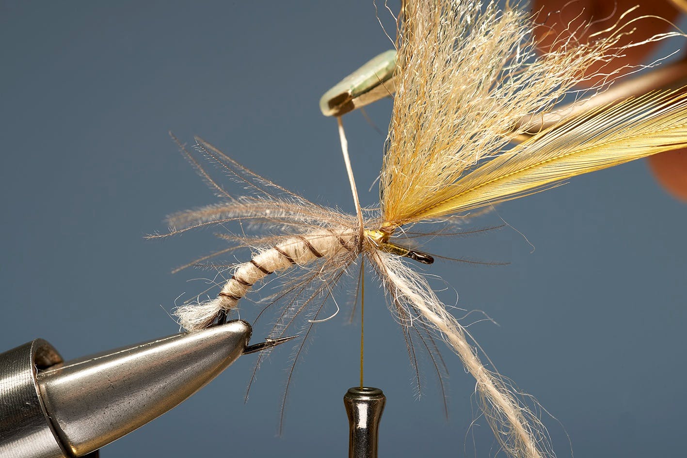 Step 7. Mayfly Emerger.