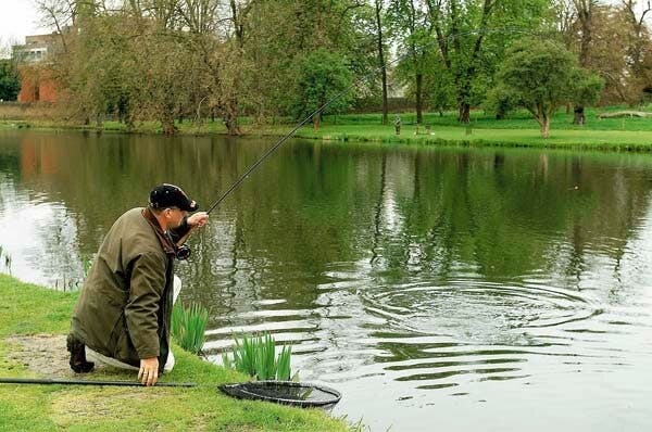 Syon Park