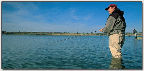 Trout on a Reservoir