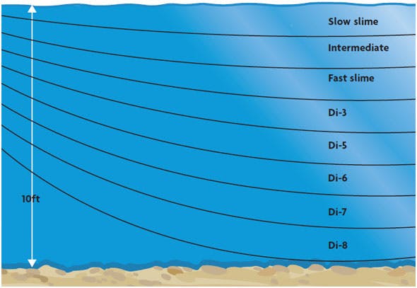 Sinking line to find the feeding zone