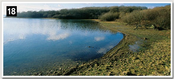 Rutland Water