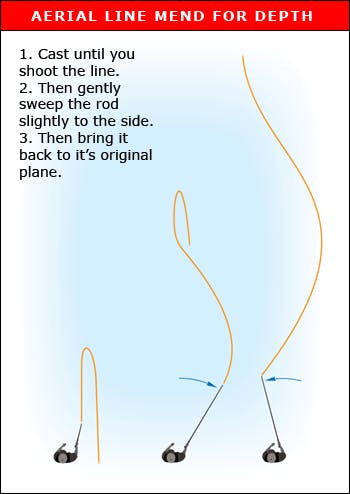 guide to sedges