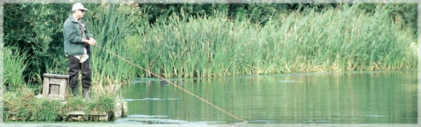 Small Trout Stillwaters