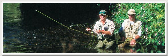 Trout from small rivers