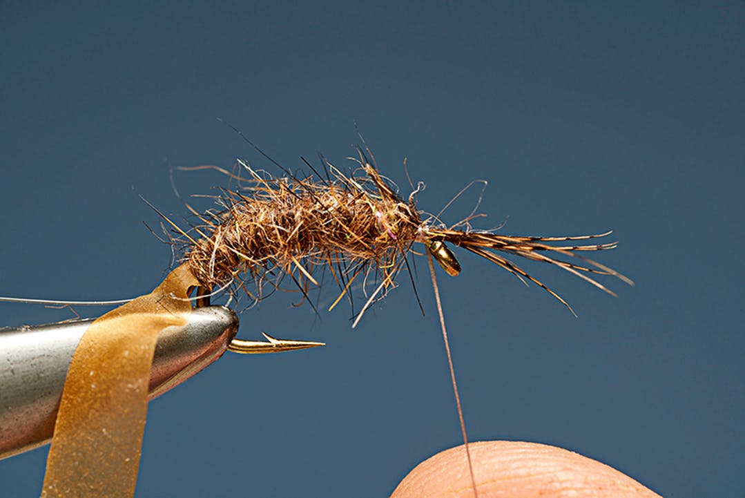 Step 5. Tan Shrimp.