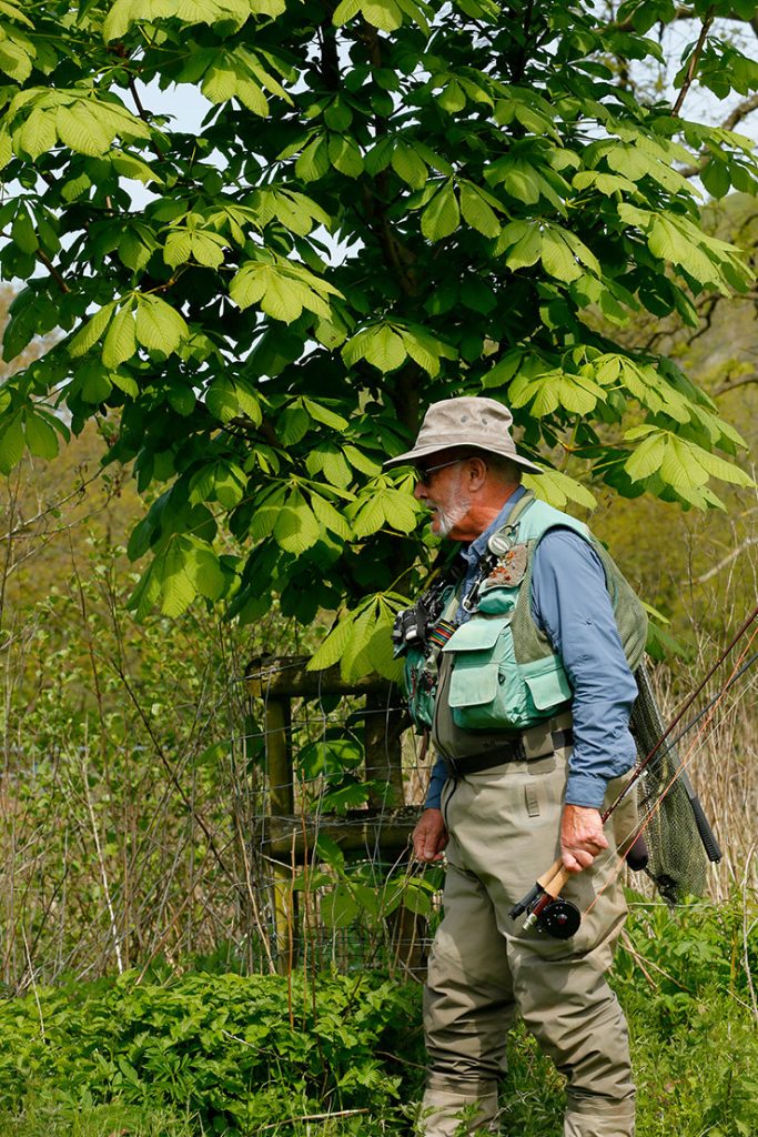 Trout fisherman camouflaged near tree while wading