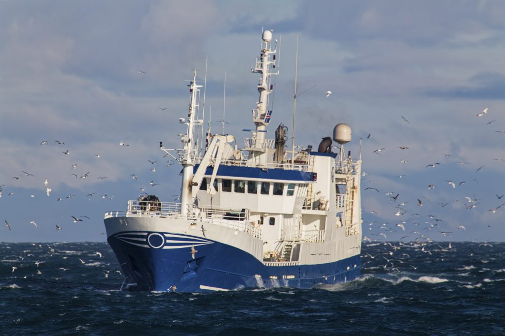 The Salmon bycatch mystery