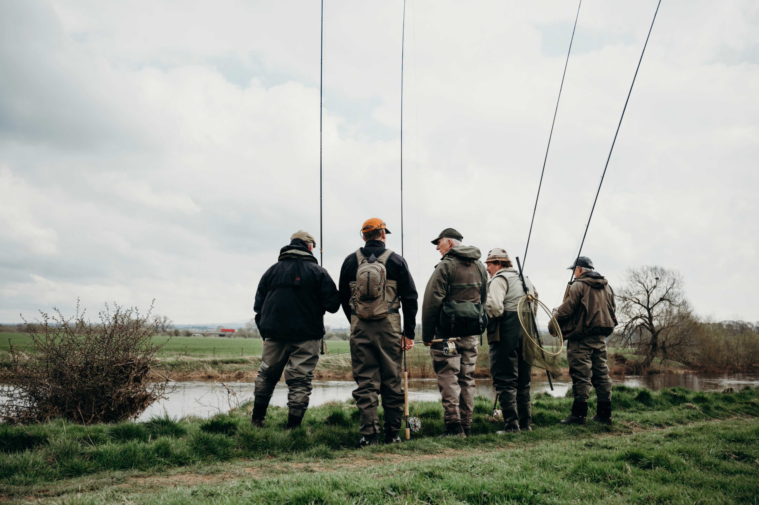 Get to know a salmon beat
