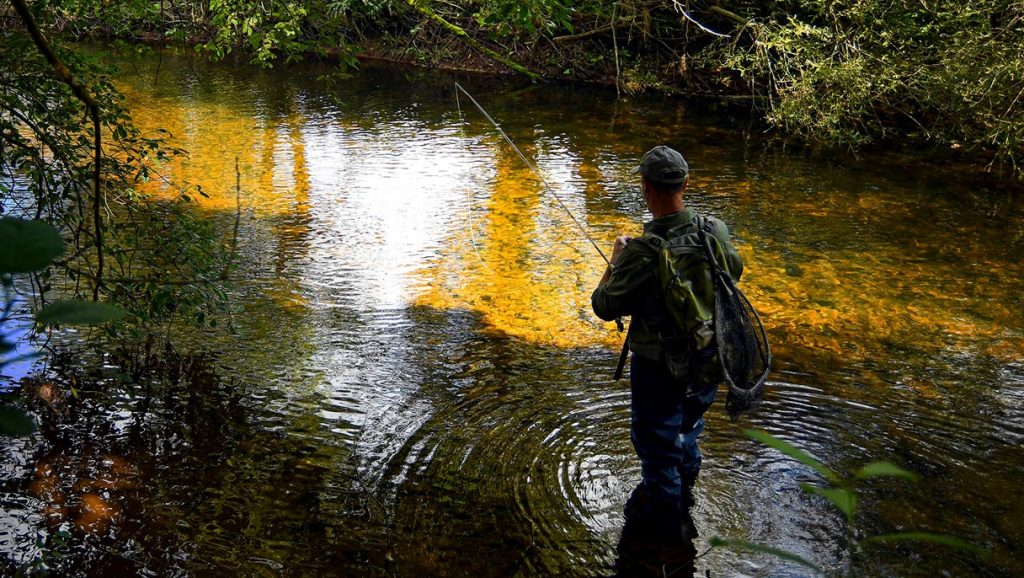12 summer fly fishing tips for river trout