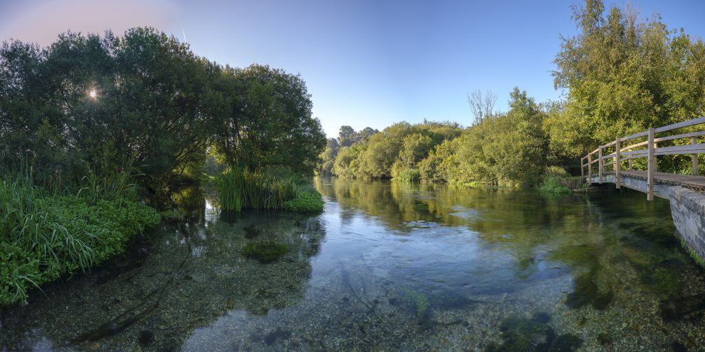 Can science save the River Itchen?