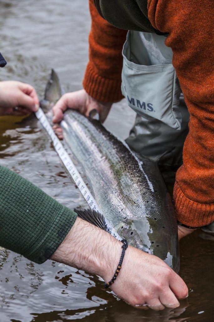 New film promotes catch and release best practice