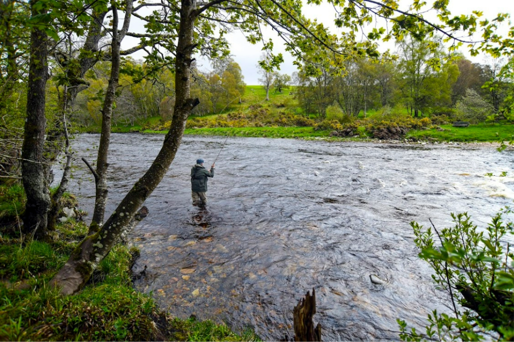 12ft short double-handed salmon rods
