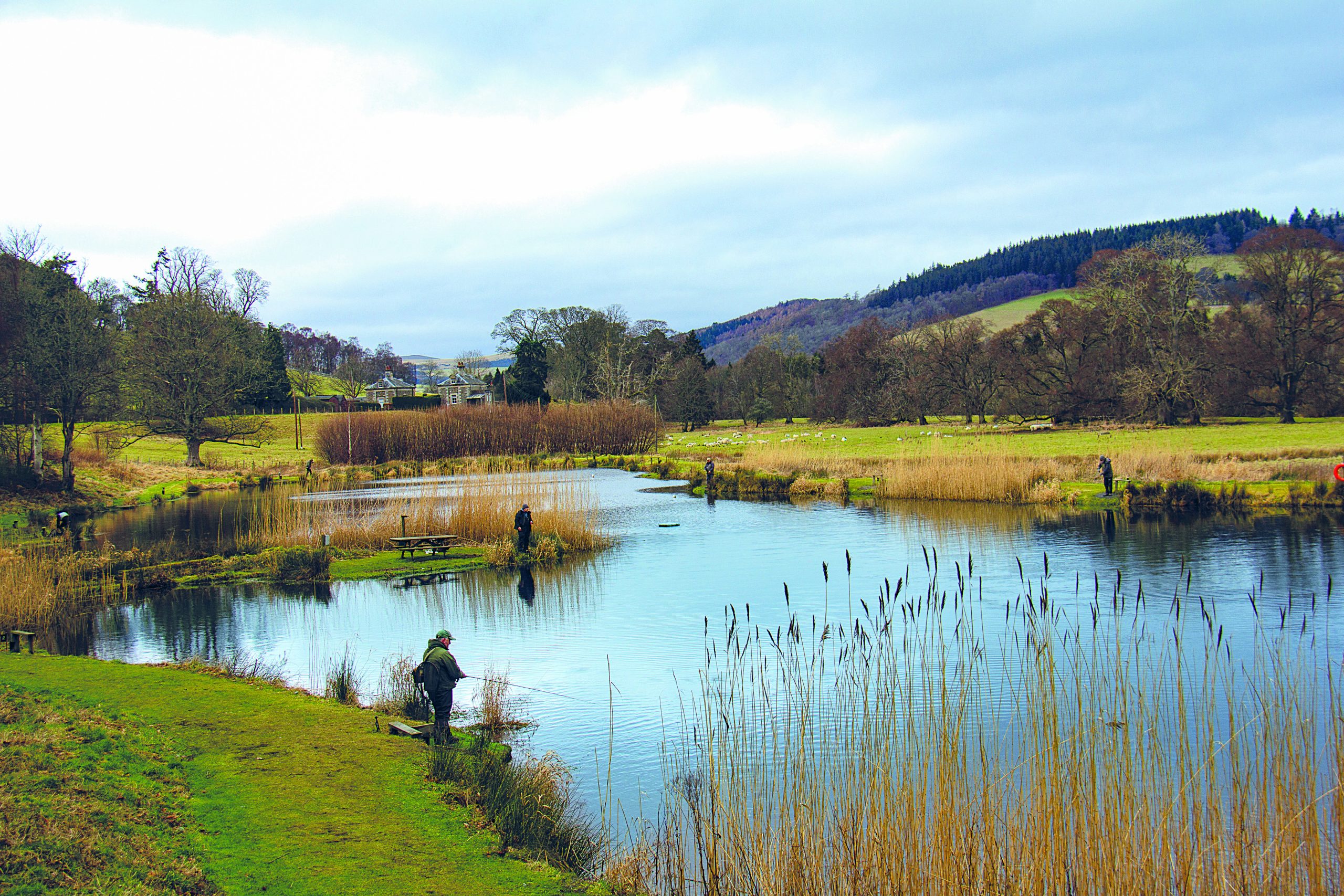 SPOILED FOR CHOICE AT KAILZIE FISHERY