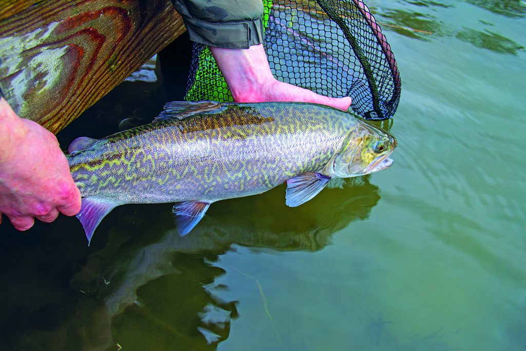 Kailzie Fishery Peebles Scotland