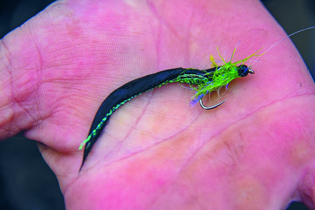 Kailzie Fishery Peebles Scotland