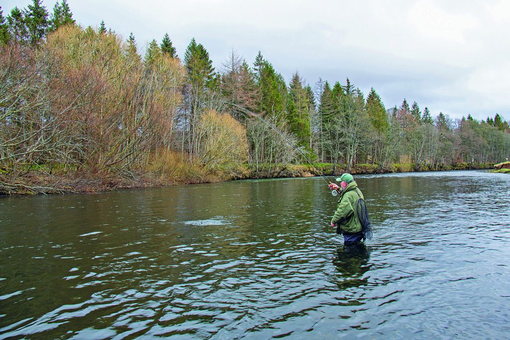 River Tweed at Kailzie Fishery Peebles Scotland