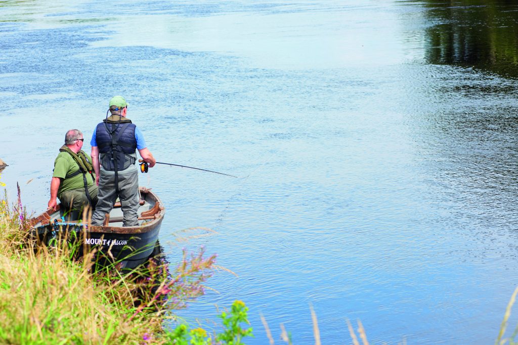 Mount Falcon upper beat