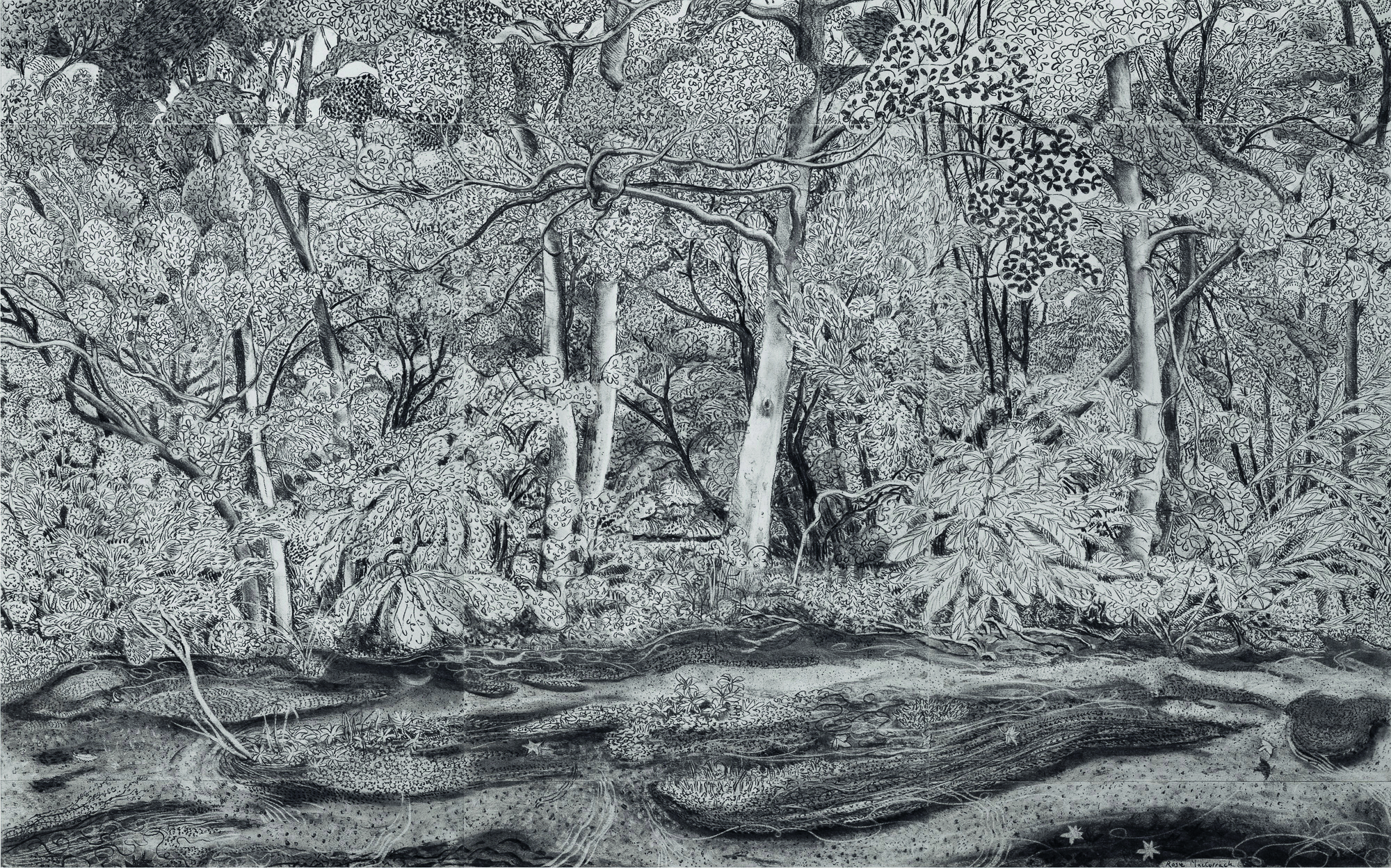 Waterways and Chalk Streams exhibition to open in Stockbridge