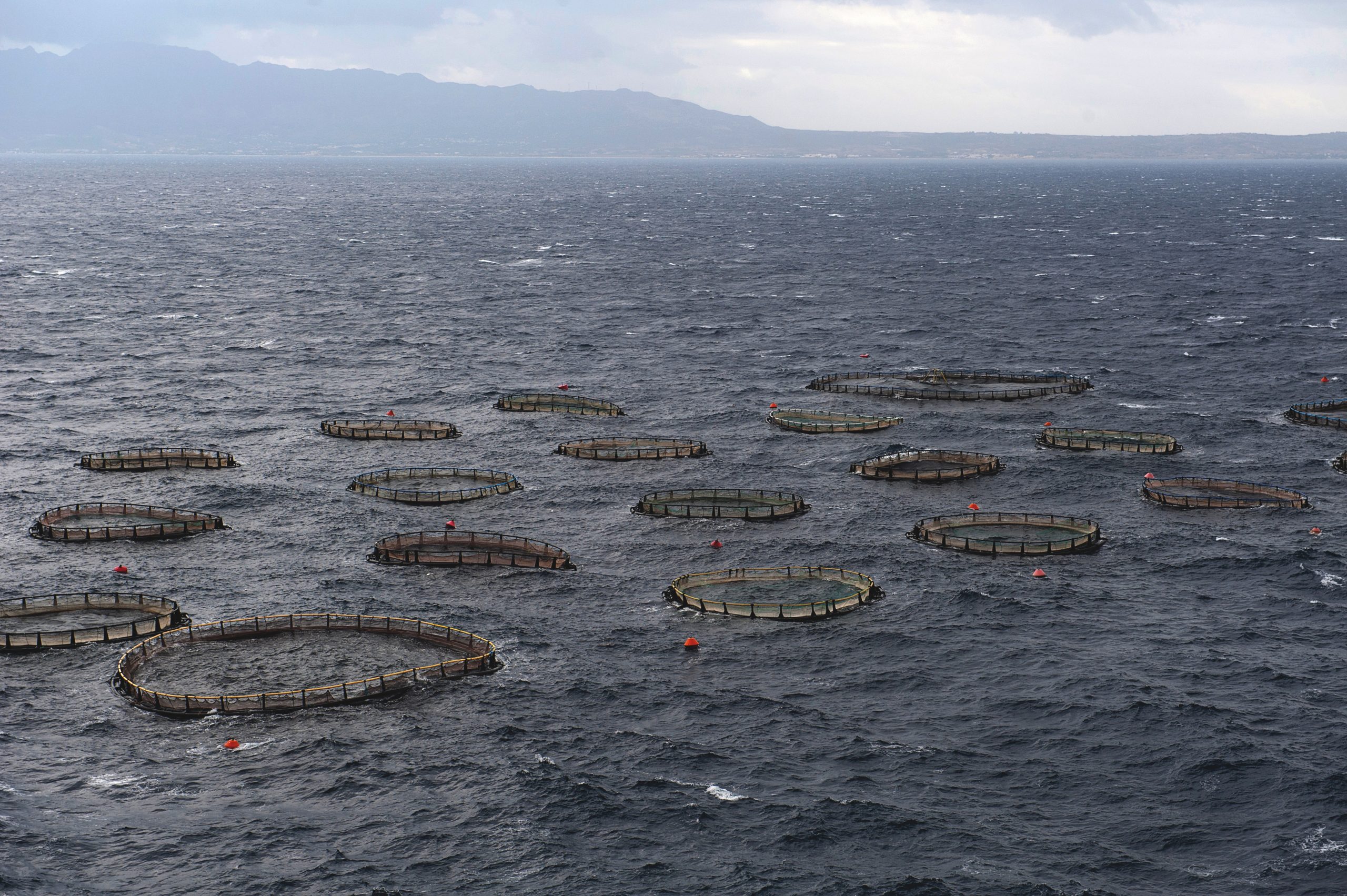Fish Farm in Kalimnos, Grecee