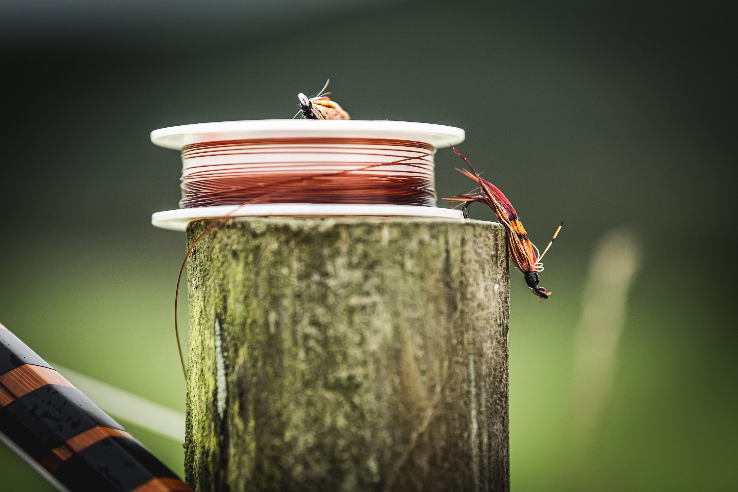 SCSTG Fishing sneak-92