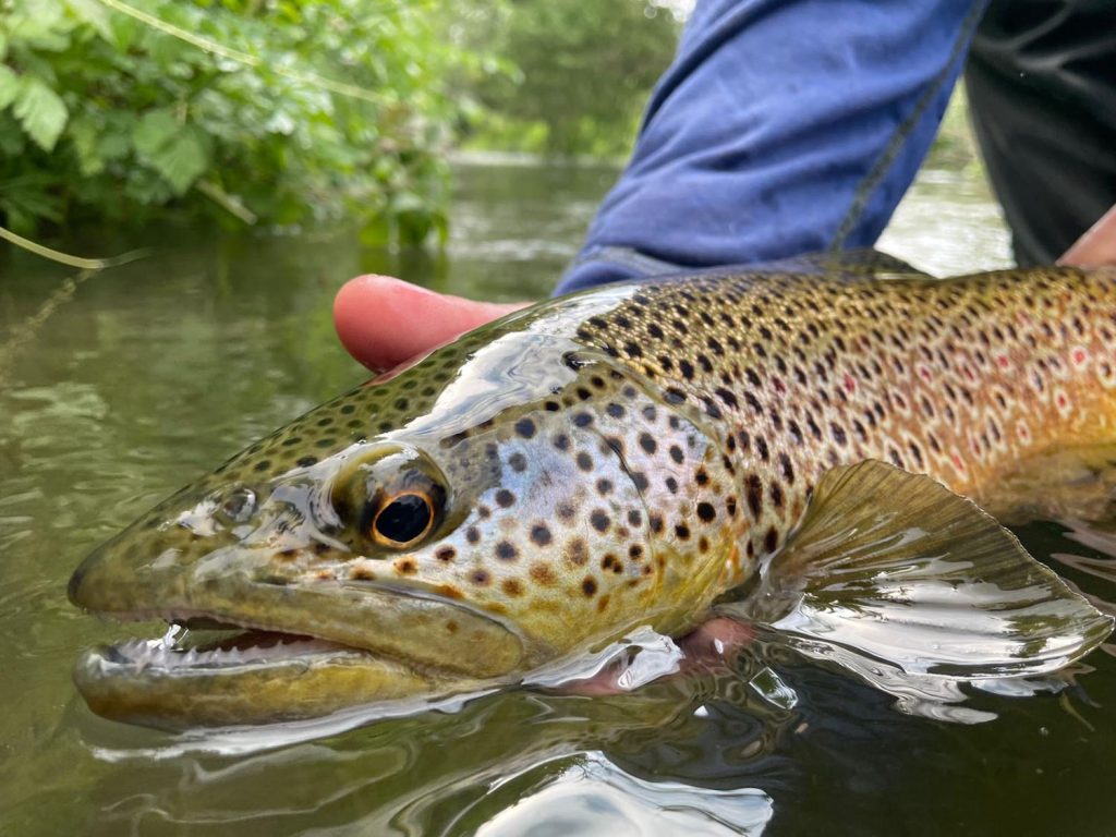 Practice makes perfect