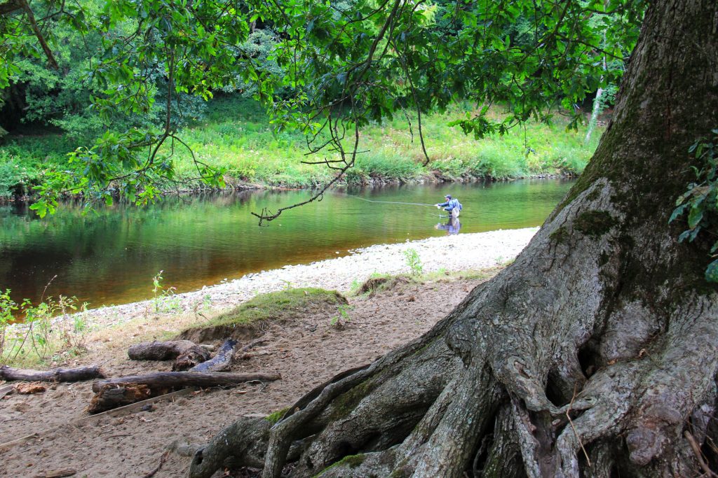 Brutus amongst the rocks