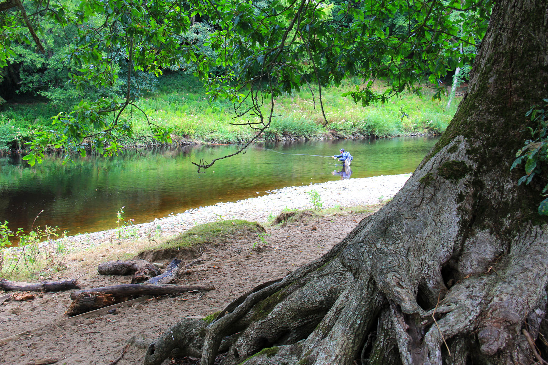 Brutus amongst the rocks