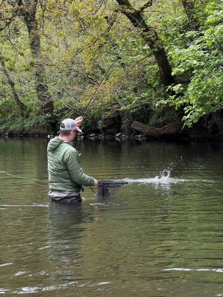 Last-minute plans: dry fly fishing for wild brown trout
