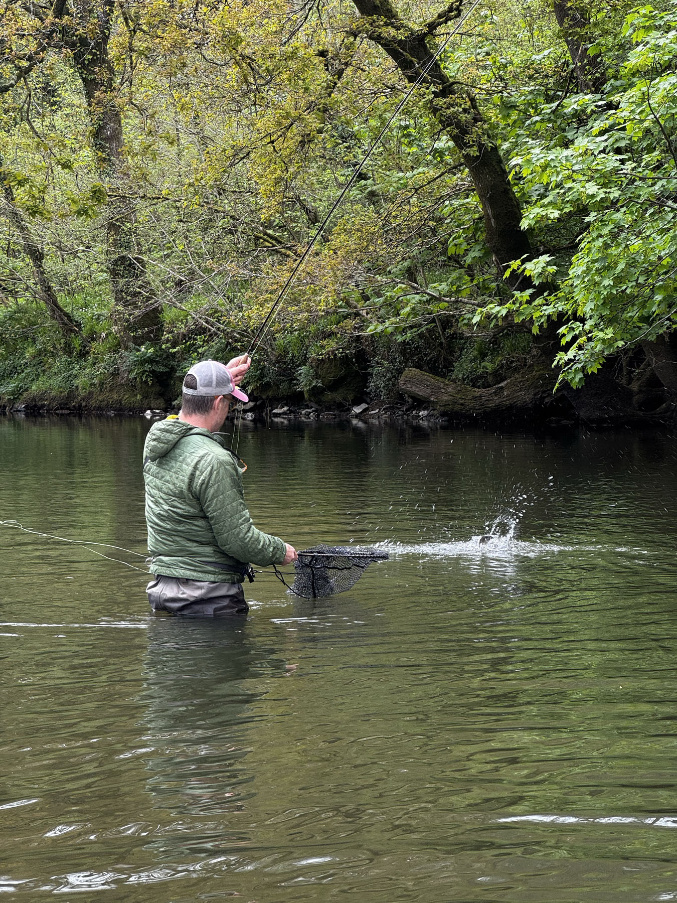 Last-minute plans: dry fly fishing for wild brown trout