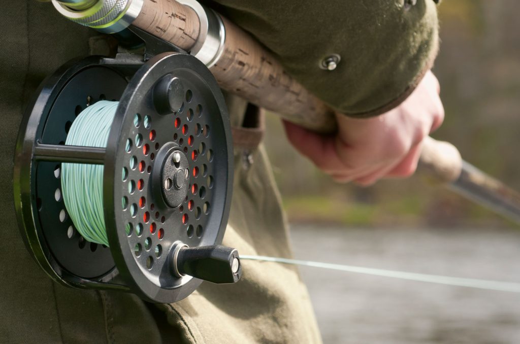 Scottish wild salmon and sea trout catches hit 73-year low