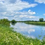 Trent30 challenge asks anglers to count fish species