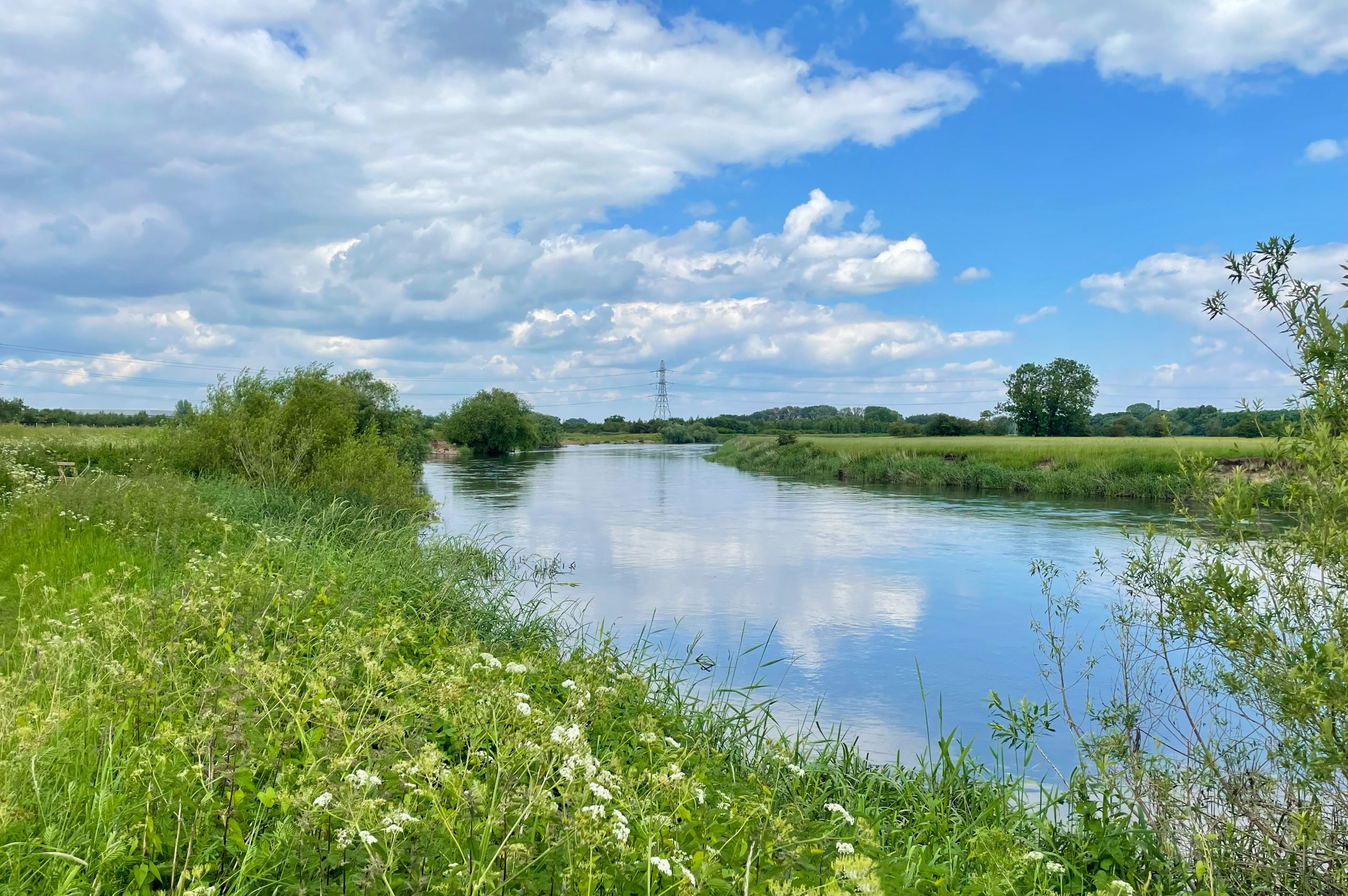 Trent30 challenge asks anglers to count fish species