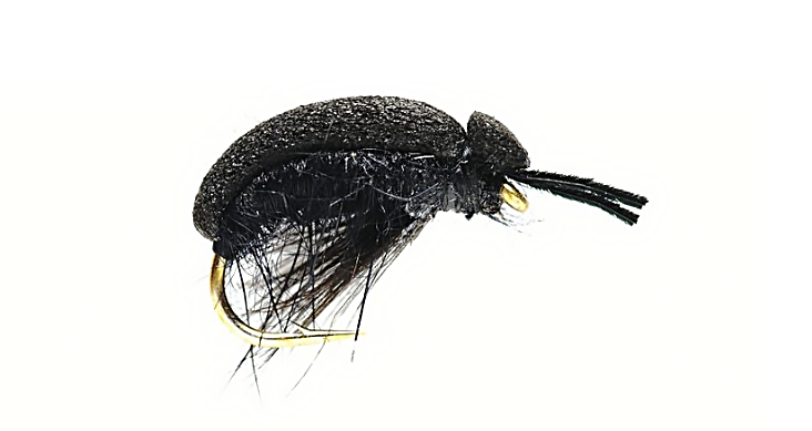 Black foam beetle trout fly with a black hackle tied on a gold hook