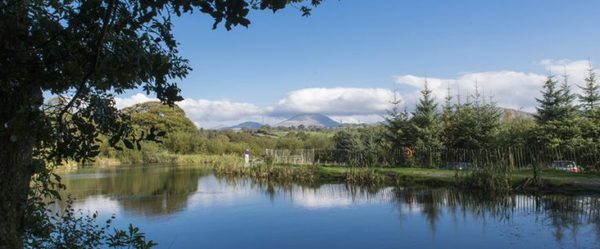Eisteddfa Fishery
