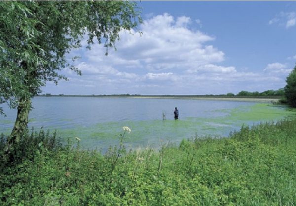 Grafham Water
