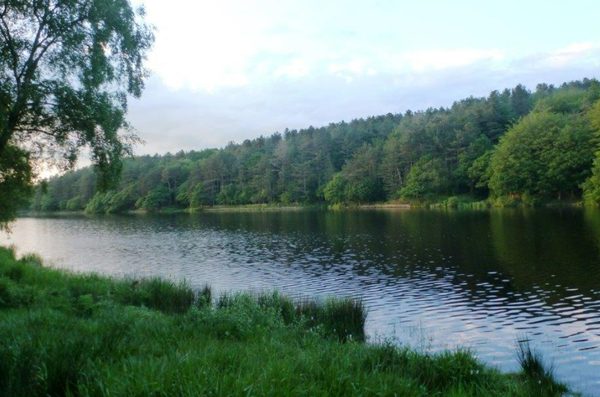 Horwich & District Fly Fishing Club